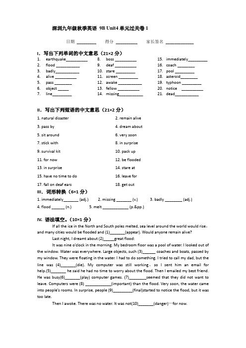 Unit4单元过关卷  九年级英语下册