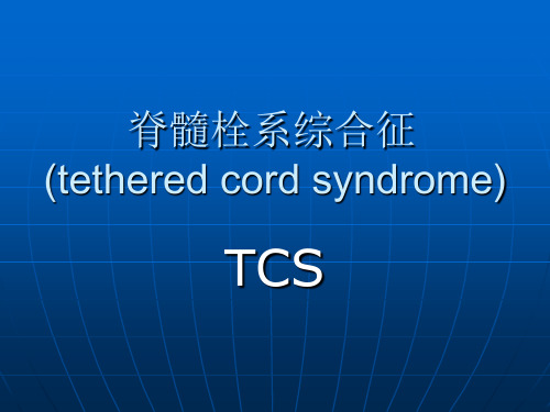 脊髓栓系综合征(