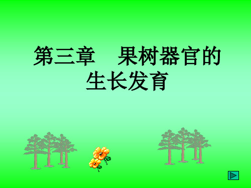 果树第三章 果树器官的生长发育