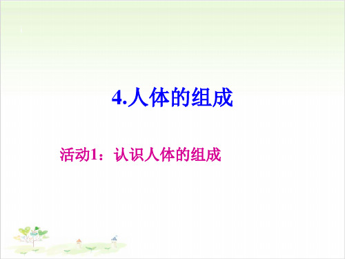 六年级下册科学-4人体的组合-冀教版-PPT课堂课件