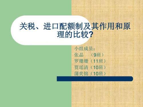 关税、进口配额制及其作用和原理的比较精编版课件