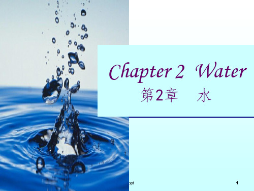 课件02食品化学中水