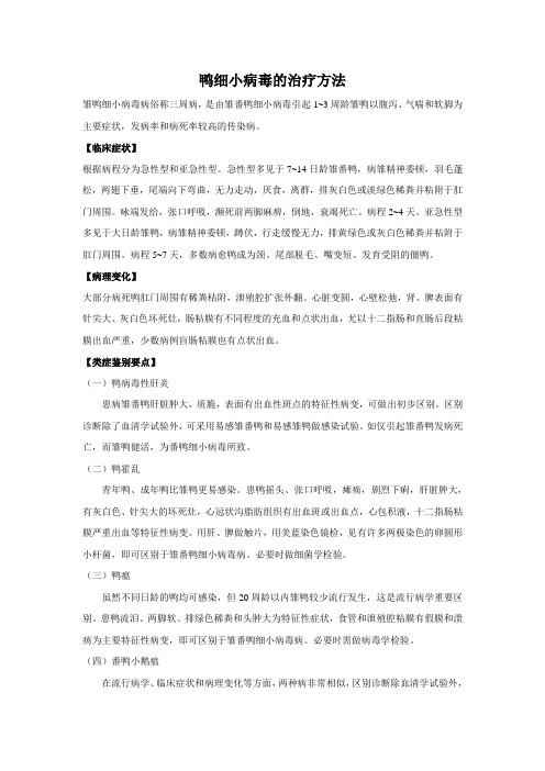 鸭细小病毒的治疗方法