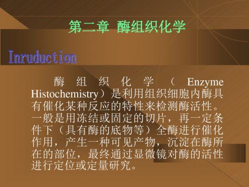 组织化学技术4-酶组化