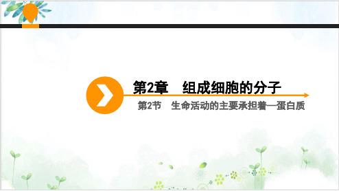 人教版高中生物必修1课件--生命活动的主要承担者-蛋白质-公开课(21张)-PPT优秀课件