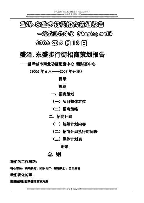 苏州某商业街招商策划书