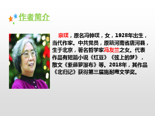 六年级  丁香结