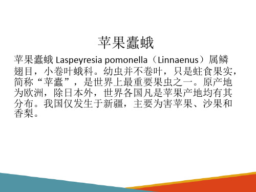 果树病虫害防治技术—苹果病虫害识别与防治(植物保护技术课件)