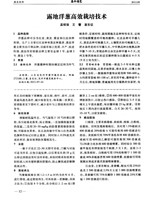 露地洋葱高效栽培技术