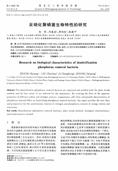 反硝化聚磷菌生物特性的研究