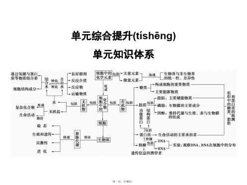 高考生物一轮复习 第一单元 单元综合提升 细胞的分子组成(含前言)课件 浙科版必修1