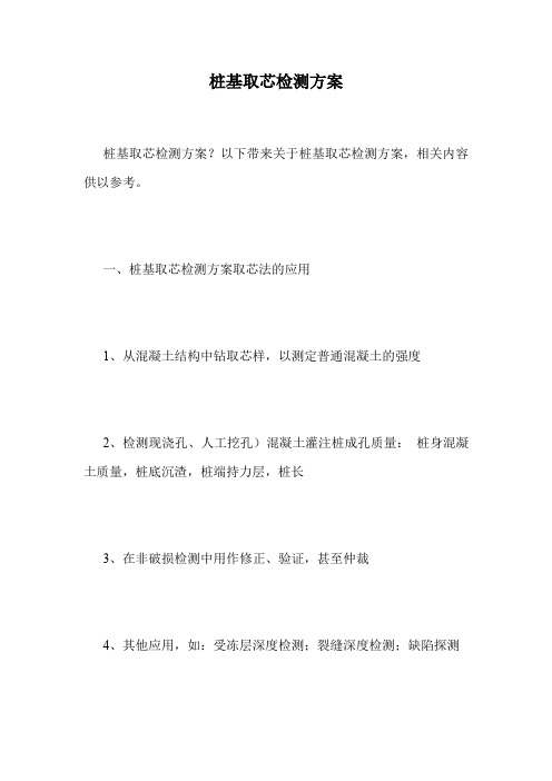 桩基取芯检测方案.doc