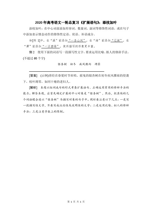 2020年高考语文一轮总复习《扩展语句》：添枝加叶