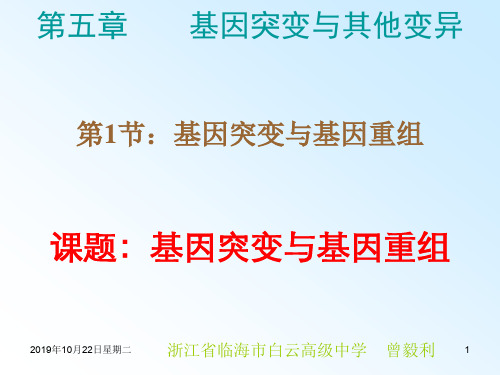 基因突变与基因重组 公开课一等奖课件PPT