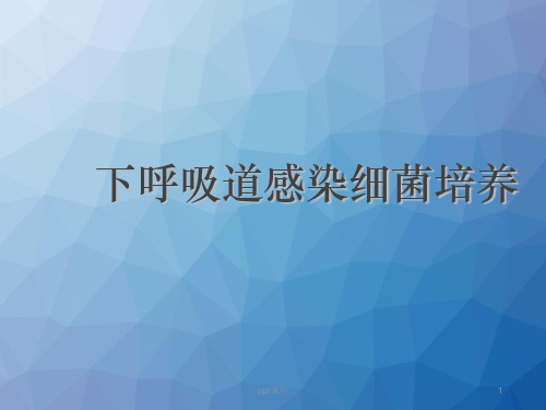 下呼吸道感染细菌培养  ppt课件