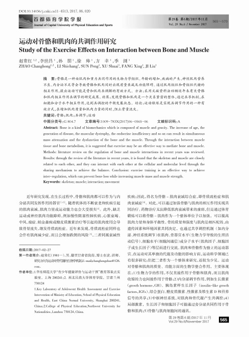 运动对骨骼和肌肉的共调作用研究