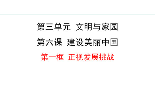 最新部编版道德与法治九年级上册《6.1 正视发展挑战》优质教学课件