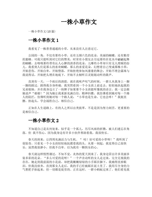 一株小草作文