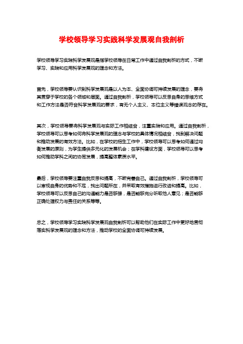 学校领导学习实践科学发展观自我剖析