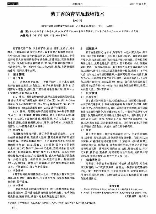 紫丁香的育苗及栽培技术