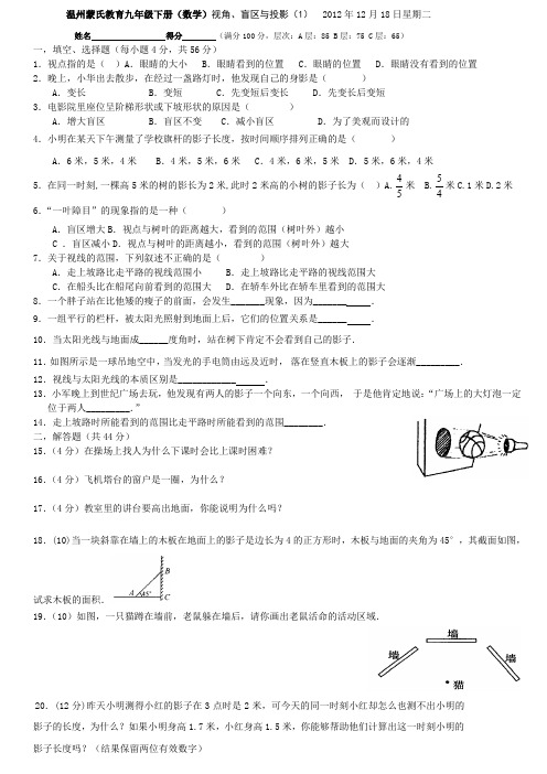 温州蒙氏教育九年级下册视角、盲区与投影(1)