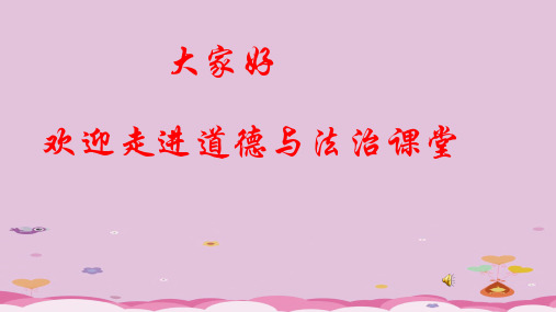 依法保护自己ppt优秀课件(2份) 鲁教版