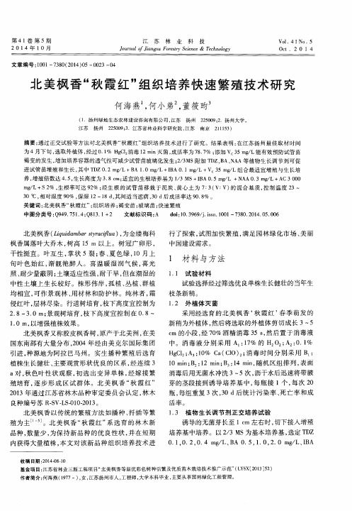 北美枫香“秋霞红”组织培养快速繁殖技术研究