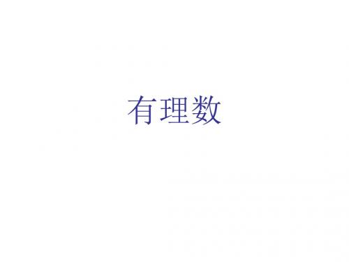 有理数复习