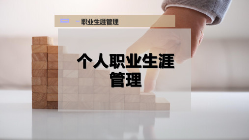 个人职业生涯管理