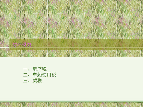 财产税类(PPT9页).pptx