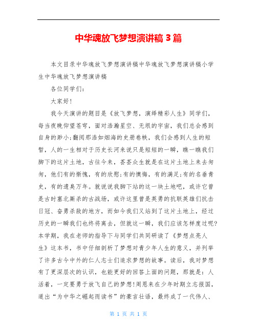 中华魂放飞梦想演讲稿3篇