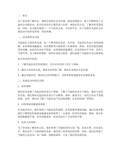 吴起社会实践活动报告