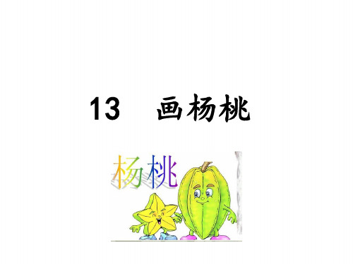 人教部编版二年级语文下册13 画杨桃 课件