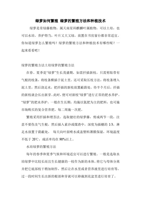 绿萝如何繁殖 绿萝的繁殖方法和种植技术.doc