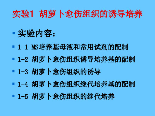 实验  MS培养基母液和常用试剂的配制学习资料