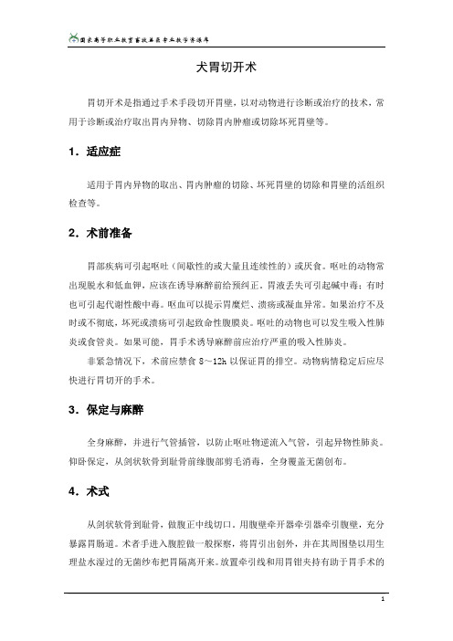 犬胃切开术(精)