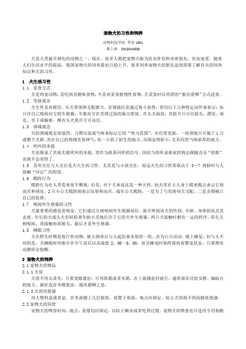宠物鉴赏
