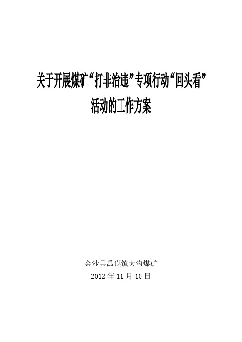 金沙县禹谟镇大沟煤矿“打非治违”工作方案