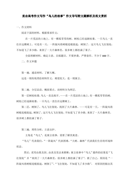 直击高考作文写作“鸟儿的故事”作文导写附文题解析及范文赏析(6页)