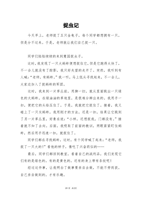 捉虫记_四年级作文