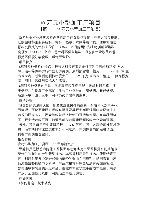 10万元小型加工厂项目.doc