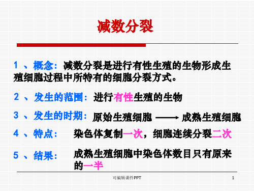 减数分裂过程中染色体数目变化ppt课件