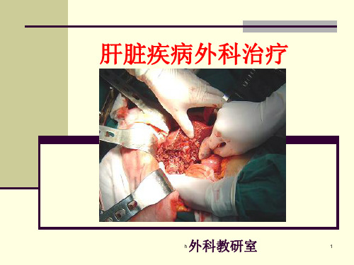 《肝脏疾病外科治疗》PPT课件