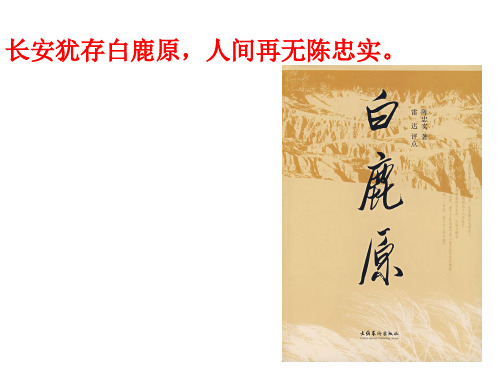 陈忠实
