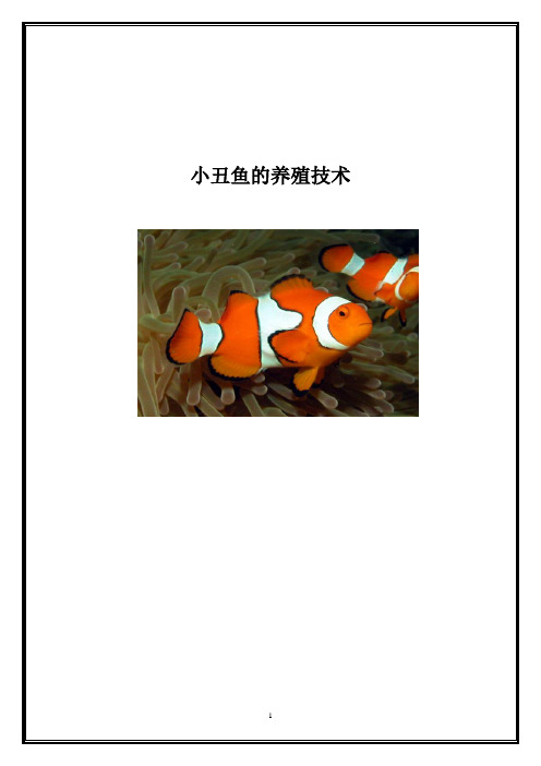 小丑鱼的养殖技术精编
