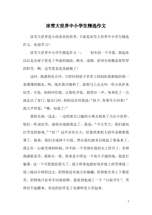 冰雪大世界中小学生精选作文