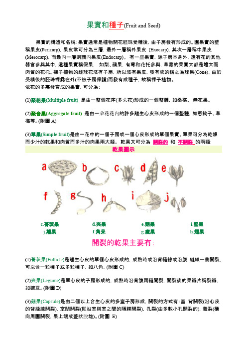 果实和种子(Fruit and Seed)