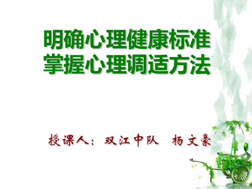 维护心理健康,走好军旅人生路-副本详解-40页PPT资料