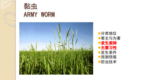 第四章 小麦害虫
