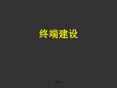 终端建设  ppt课件